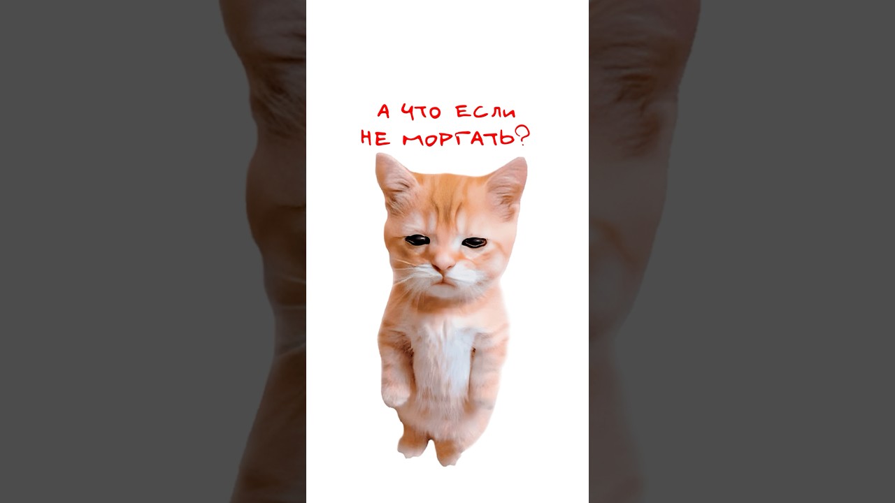 Что будет, если не моргать?