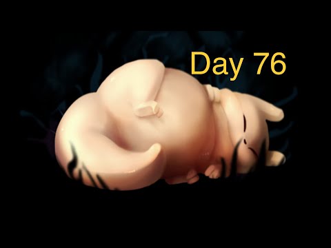 Rain World: Day 76 of eating food until i become The Gourmand