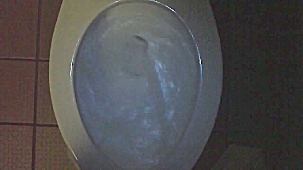 American Standard Comfort Height Cadet Toilet YouTube