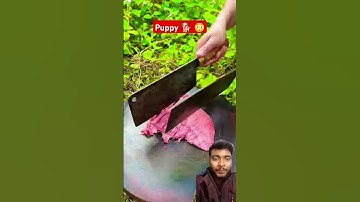 0 đồng ăn gì? p224 #shorts #tiktok #foryou #xuhuong #fyp #langlieu