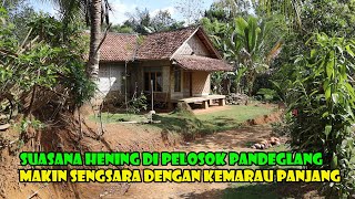 Pelosok Pandeglang Banten Makin Menjerit Dengan Kemarau Panjang. Ekonomi Makin Sulit..