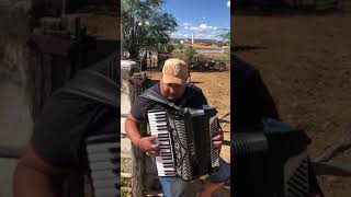 Video voorbeeld van "Tarcisio Do Acordeon - A Mocidade Da Gente Passa Ligeiro Demais"