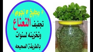 تجفيف النعناع وتخزينه لسنوات بالطريقة الصحيحه # مطبخ خمس نجوم # Drying Mint