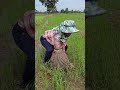 fishing  #fish #fishingvideo #fishinglife #fish