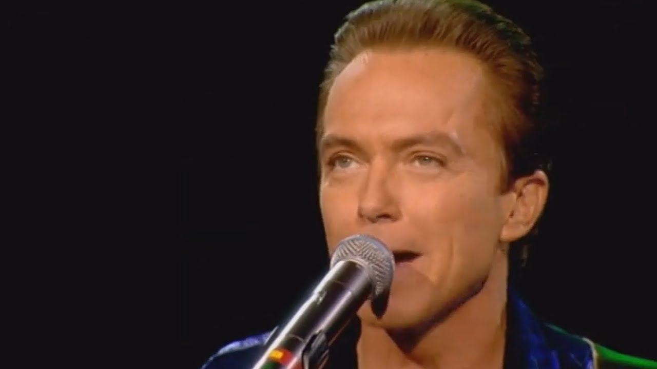 David Cassidy - 