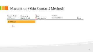 Basic Winemaking Part 3 Skin Contact