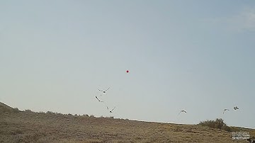 Sage-grouse Hunting with Shotkam Slowmo