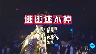 张鑫雨《逃逃逃不掉》DJ彭锐版 KTV 导唱字幕 （备有伴奏视频）