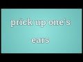 Prick up one's ears Meaning