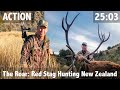 The Roar: Red Stag Hunting New Zealand