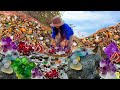 Wow wow amazing nature gemstone full color gems hidden under river