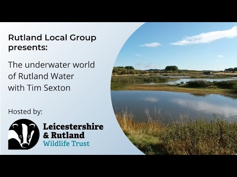 Online Talk: The Underwater World of Rutland Water
