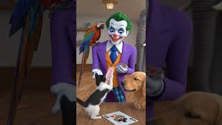 #joker#magic#cards#trick#parrot#dog#cat#elephant#fun#show#game#play#circus#comedy#animal#pet#vibe