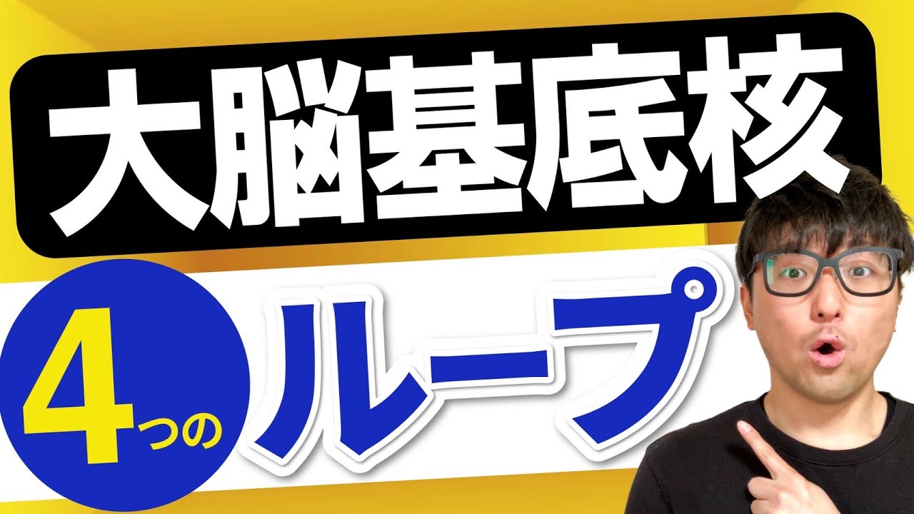 【大脳基底核】学校じゃ教えない大脳基底核の4つのループを解説