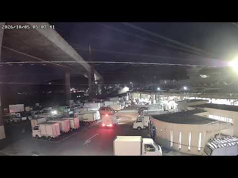 神奈川県小田原市早川漁港駐車場ライブカメラ