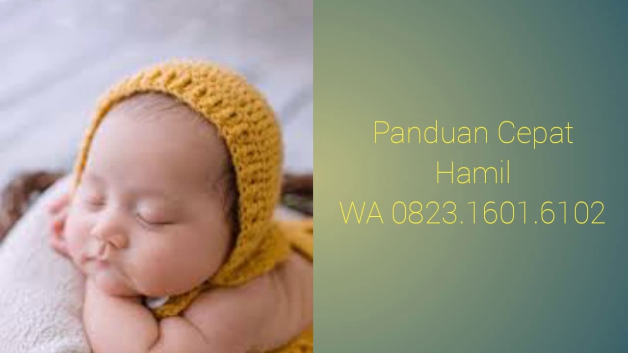WA 0823 1601 6102 cara agar cepat hamil, tips cepat hamil 