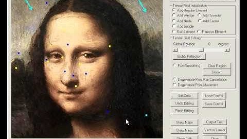 Interactive tensor field design and visualization on surfaces