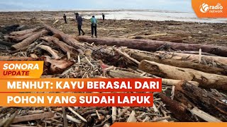 Kayu Gelondong Hanyut Terbawa Banjir, Menhut: Kayu Berasal Dari Pohon Lapuk | SONORA UPDATE