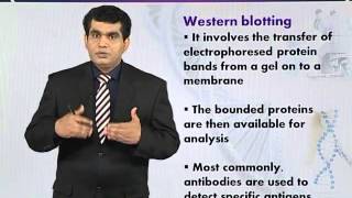 BIO732_Topic014