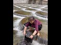 The mountains of Lichuan, the rivers of Lichuan, the songs of Lichuan are the most beautiful!