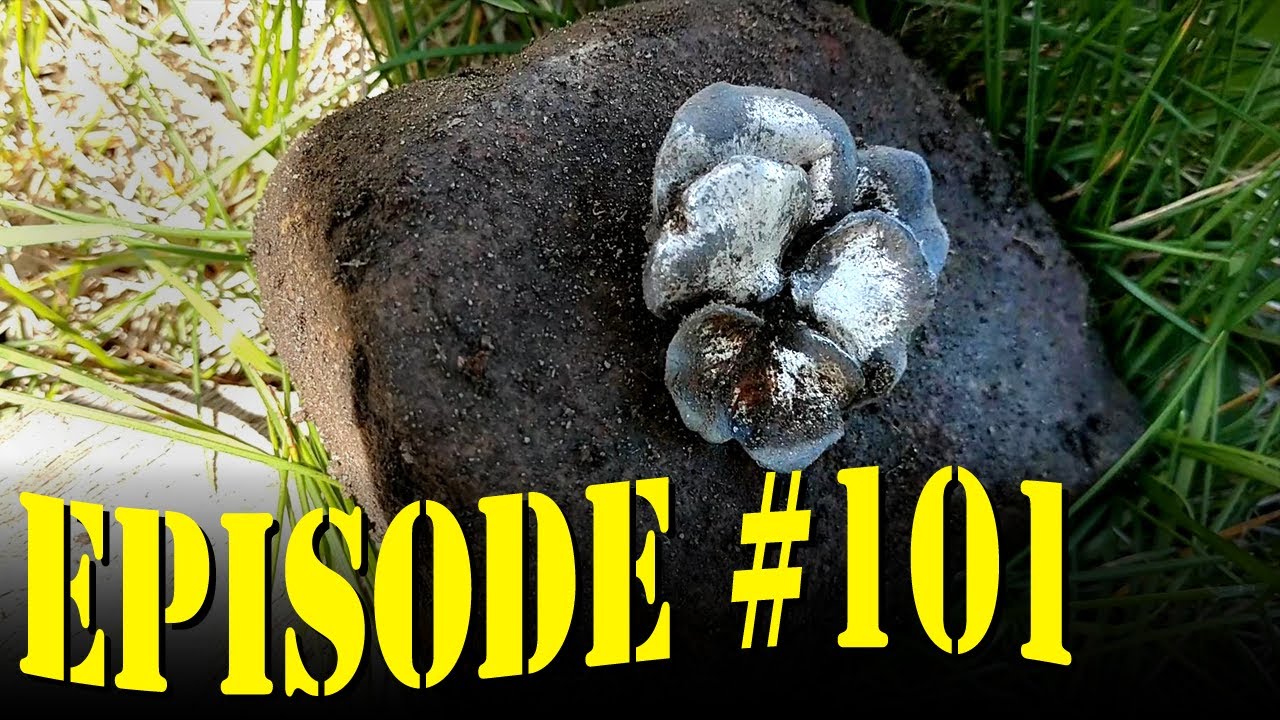 E101 -- Fleur d'argent - YouTube