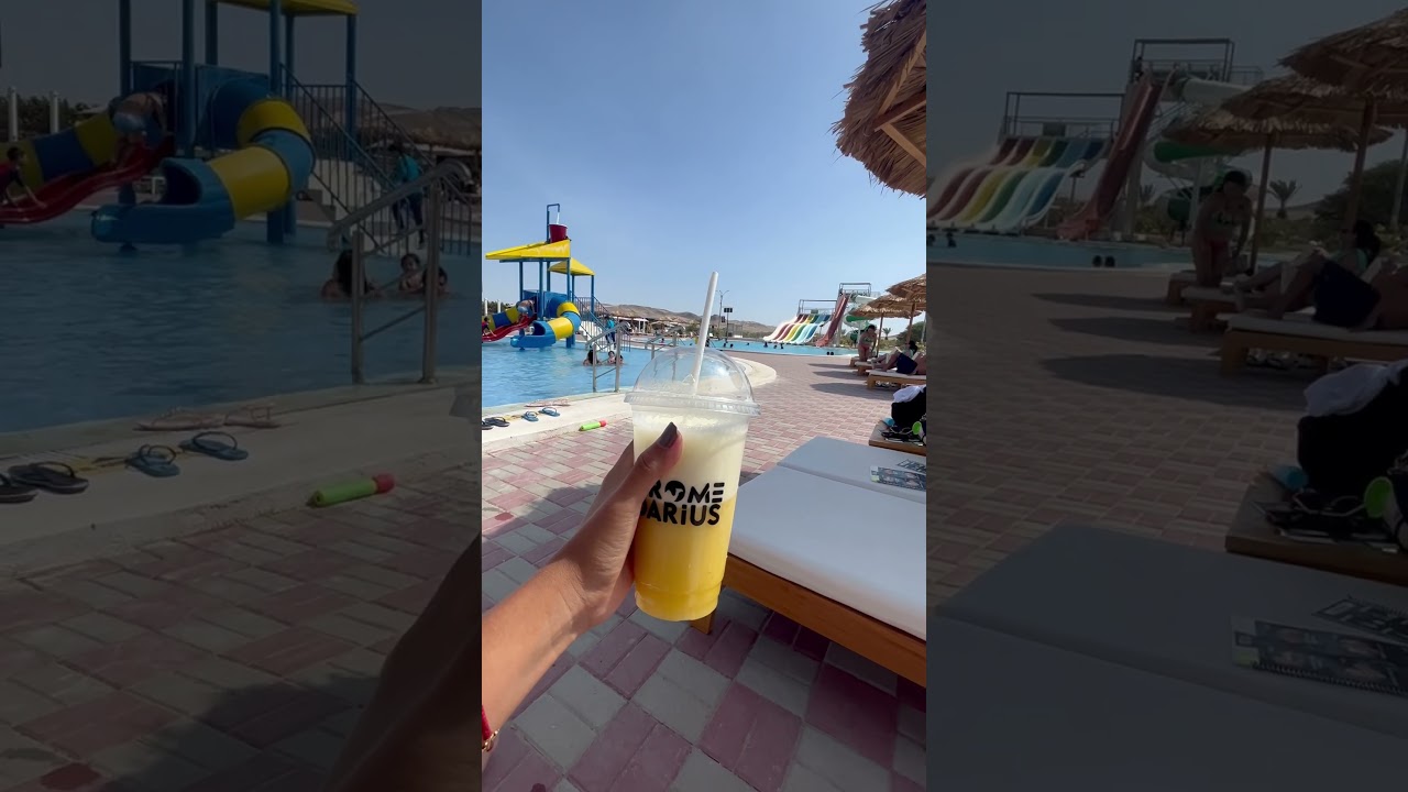 Dromedarius 🐫 ICA 