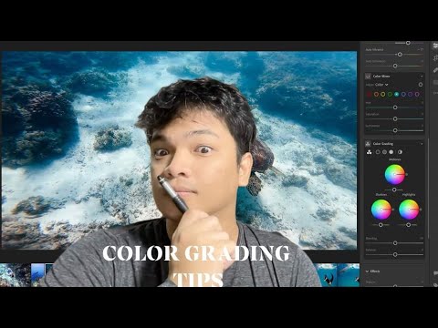 Freediving Photo Color Grading with Lightroom: White Balance Selector