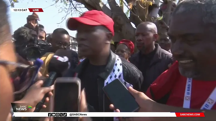 2024 Elections | EFF leader Julius Malema to cast his vote in Seshego - DayDayNews