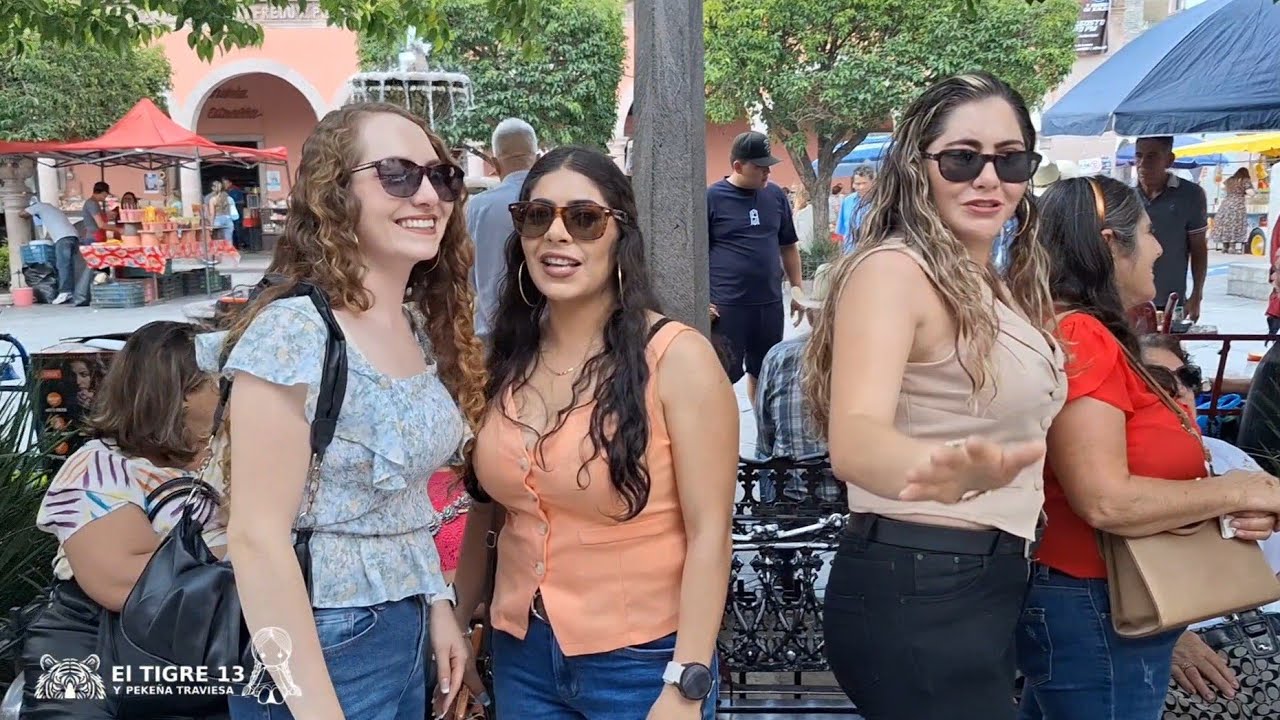 Domingo familiar 3 de agosto 2025 🐅