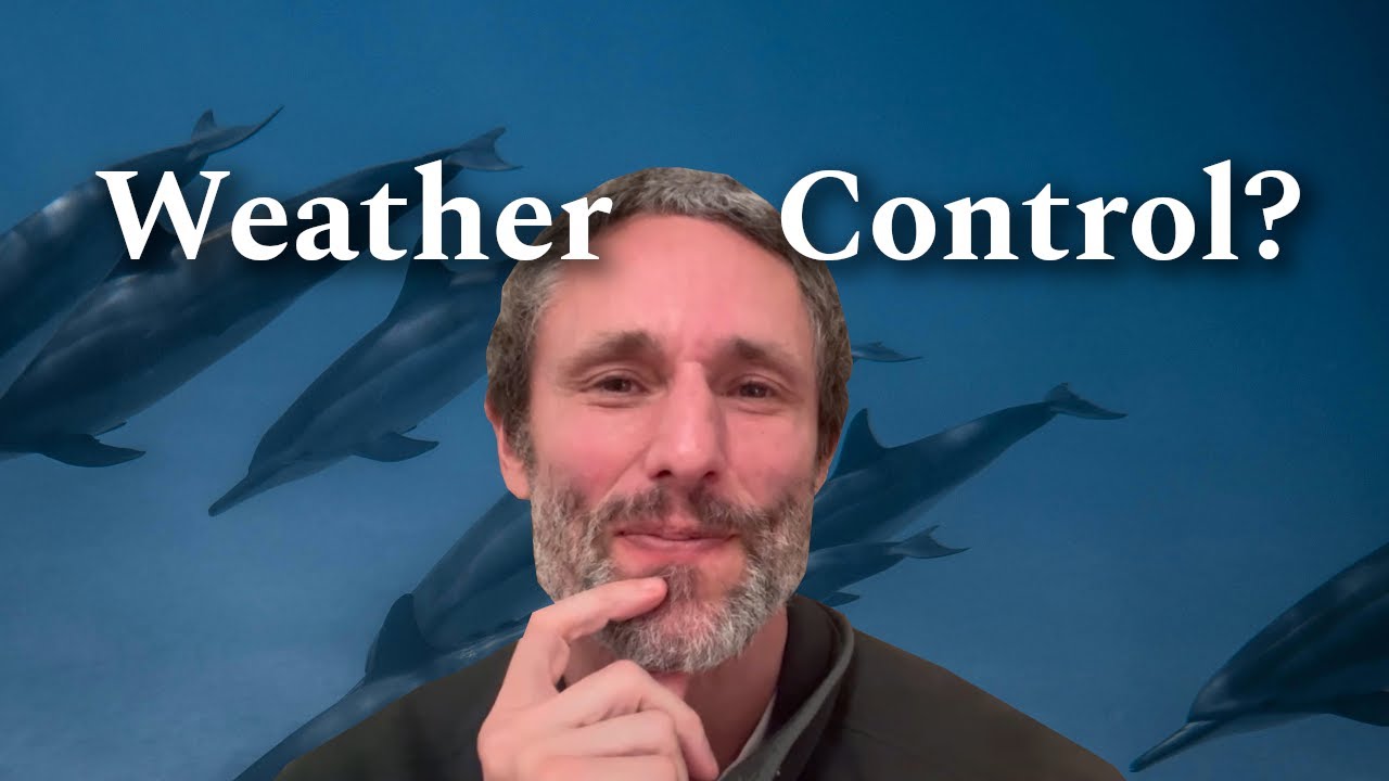 Безумие не означает зло — Проект «Здравомыслие 2026»