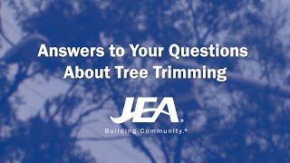 JEA Explains its Tree Trimming Methodology
