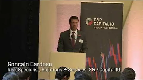 Can a Project Finance Model consider Regulatory & Political Risks?