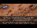 Qari Abdun Nasir Harak Quran Recitation|Whatsapp Status