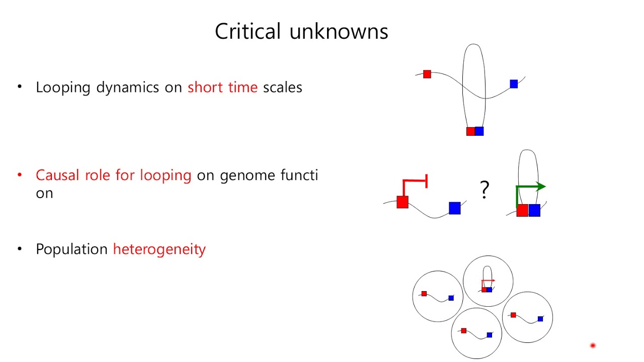 LADL : 빛을 이용한 3차원 유전체 (3D genome) 구조와 유전자 발현의 조절[Nat. Methods]