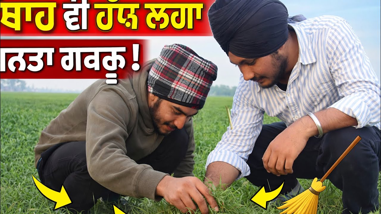 Jasmeet na kita pind di safai #funnyvideo #vlog #comedy #drama #dhurandhar #pindawale 