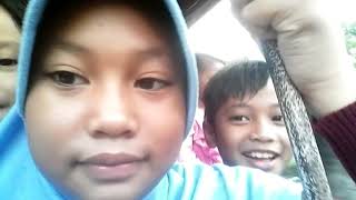 NAIK DELMAN ISTIMEWA ...LAGU ANAK ANAK MP4