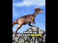Pachycephalosaurus, lagarto de cabeza gruesa #prehistoria #dinosaurios
