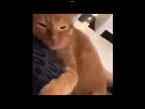 This video will make you. Go :3