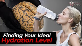 The Science of Hydration: How Much Water You Really Need