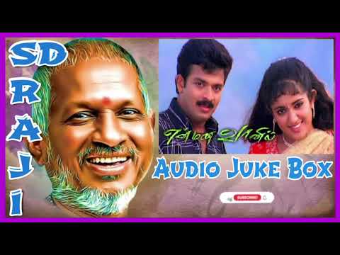 En Mana Vanil Movie Audio Juke Box SD RAJI Ilayaraja Rasigan