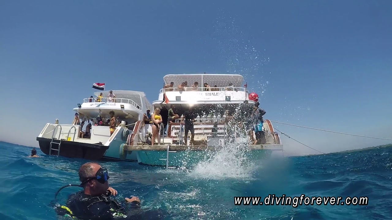 Tauchen Hurghada   Deutsche Tauchschule in Hurghada