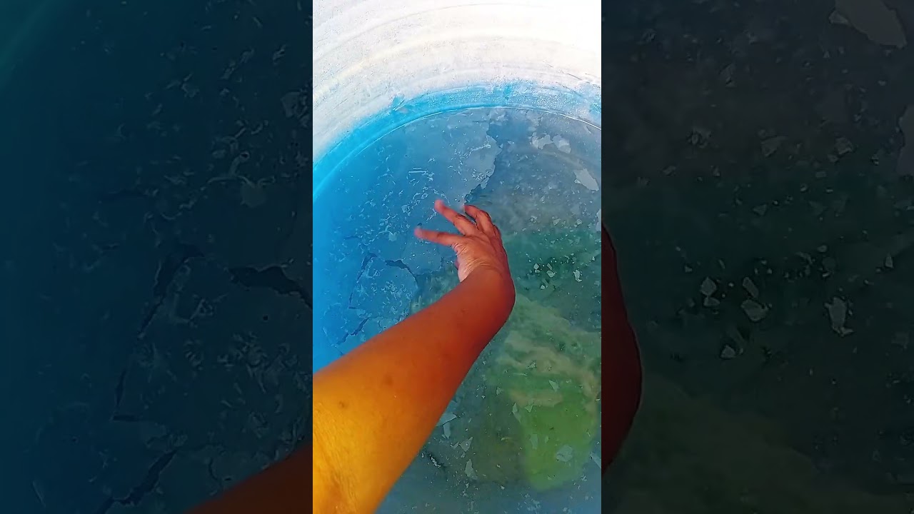 JUST take a look at this 