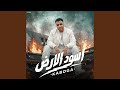 اسود الأرض