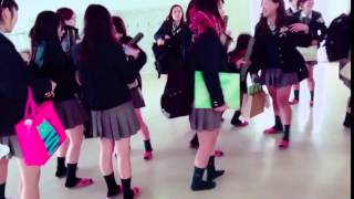 Svideo.twimgexttwvideo704509200072724480Puvid970X720Auny3Eqh34Ufup3