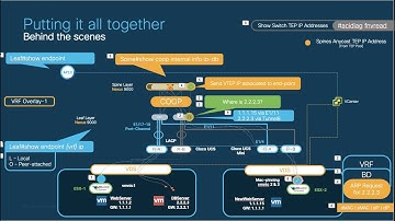 Module 3 - Episode 2  Pt. 2: Putting it all Together - Behind the Scenes (Forwarding & EP Learning)