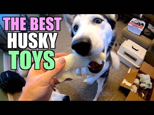 10 siberian husky toys on Tedsby