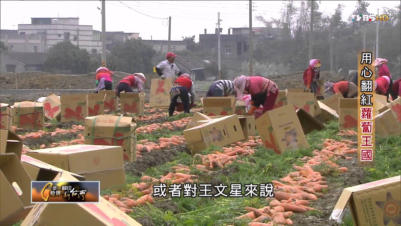 用心翻紅蘿蔔王國 TVBS 一步一腳印 20150322 (1/4)