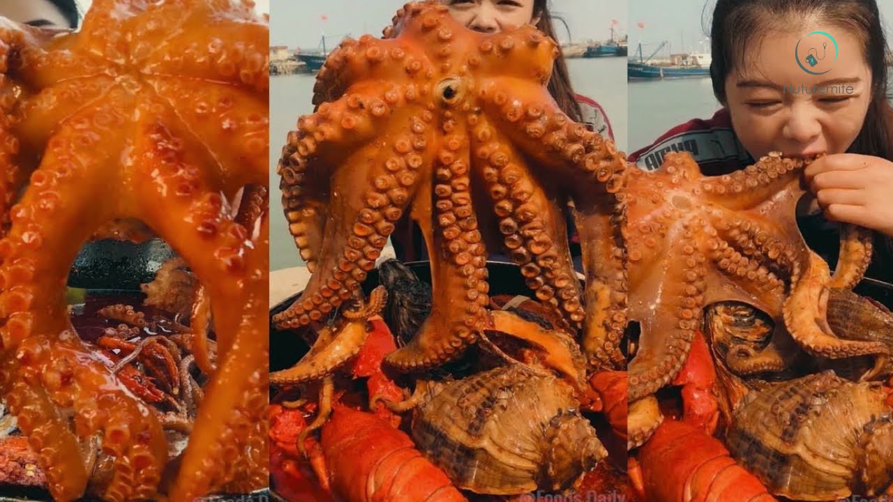 Benefits Of Eating Octopus The top benefits, nutritional values, Uses and storage of Octopus