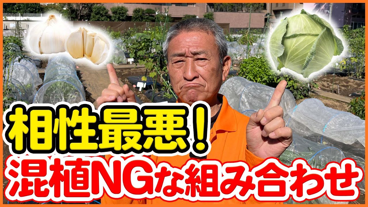 ［野菜人］ maxresdefault.jpg