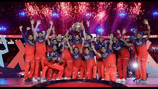 Rcb Paradise Rcb X Paradise